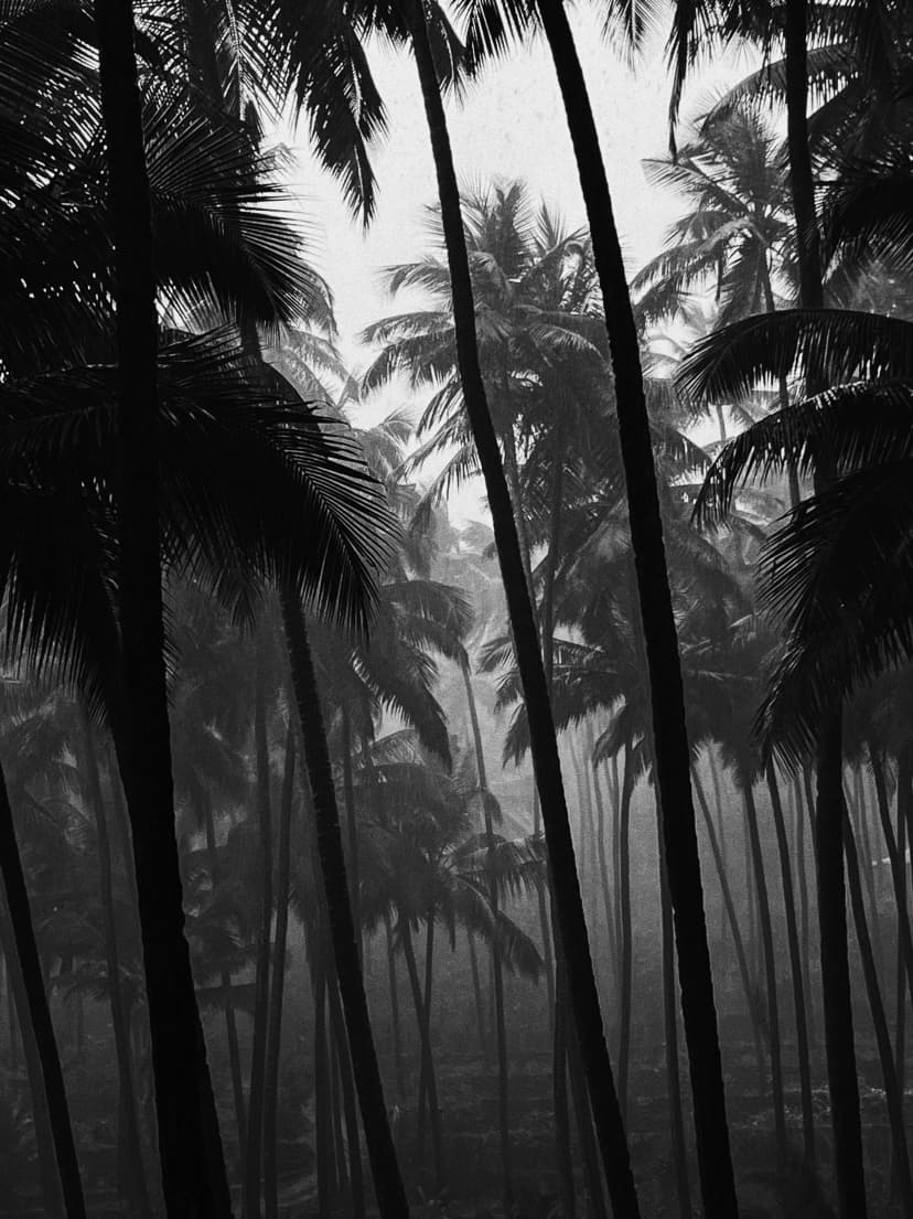 landscape image