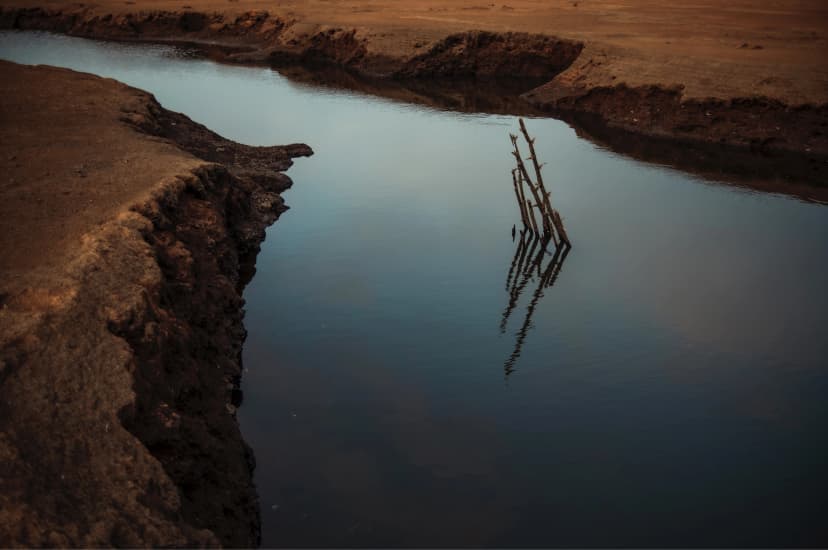 landscape image