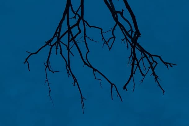 landscape image
