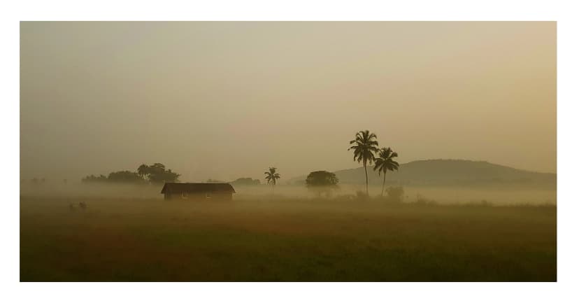 landscape image