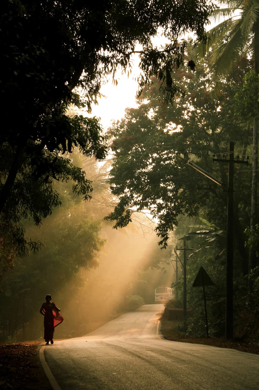 landscape image