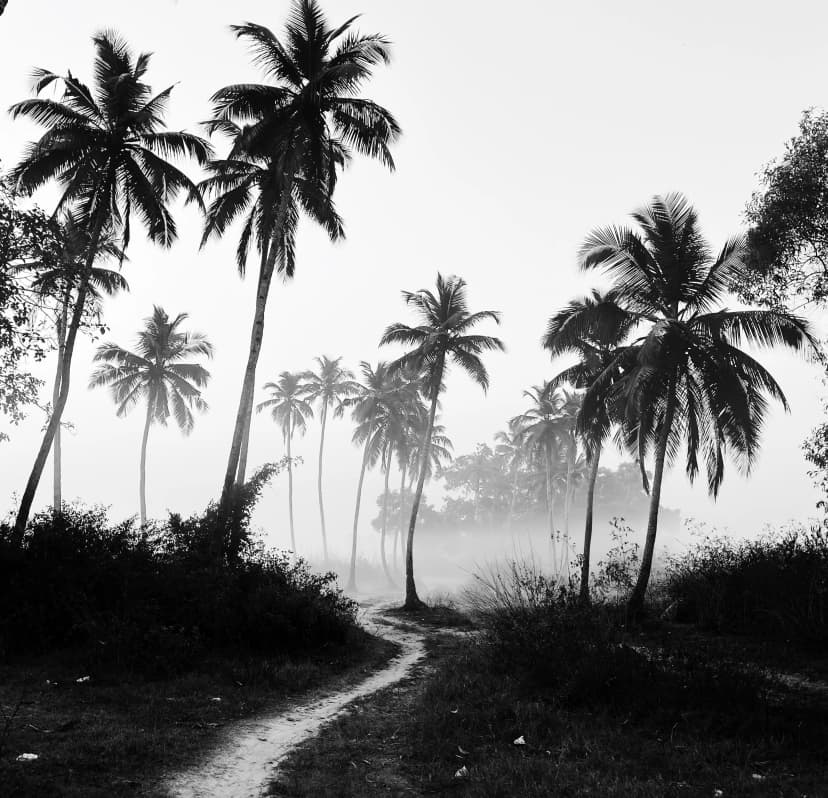 landscape image