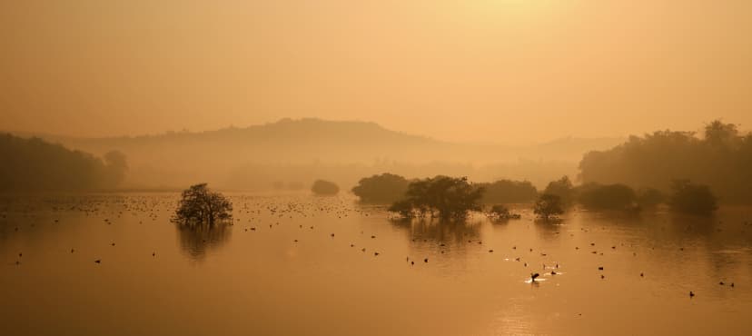 landscape image