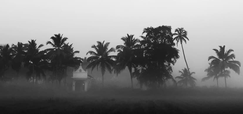 landscape image