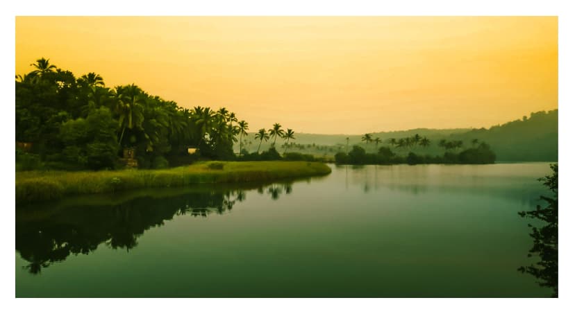 landscape image