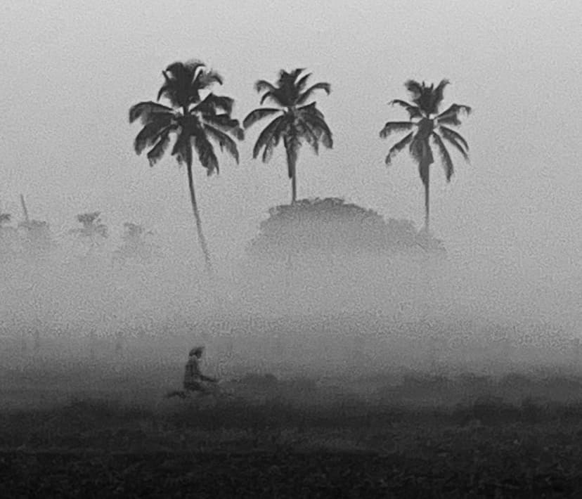 landscape image